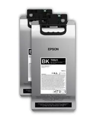 Epson UltraChrome RS cartucho de tinta 2 pieza(s) Original Negro