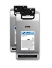 Epson UltraChrome RS cartucho de tinta 2 pieza(s) Original Cian claro
