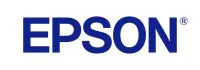 Epson UltraChrome GS3 Metallic Silver T45LB00 (500ml)